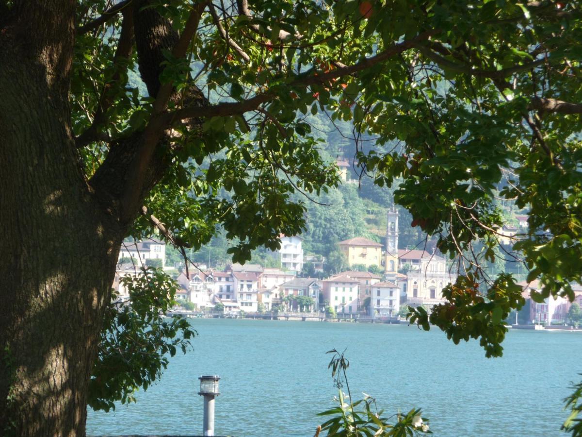 Ville Lago Lugano Porto Ceresio Eksteriør billede