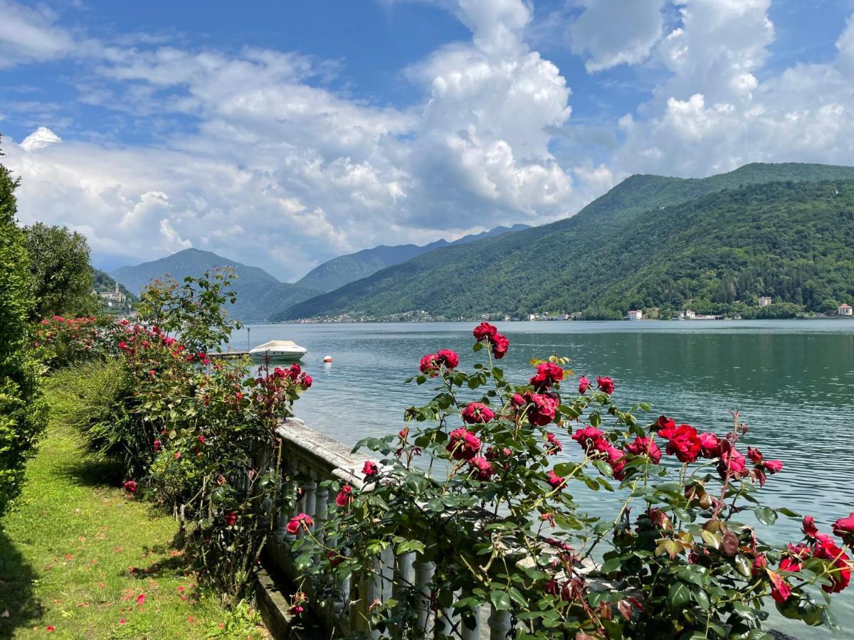 Ville Lago Lugano Porto Ceresio Eksteriør billede