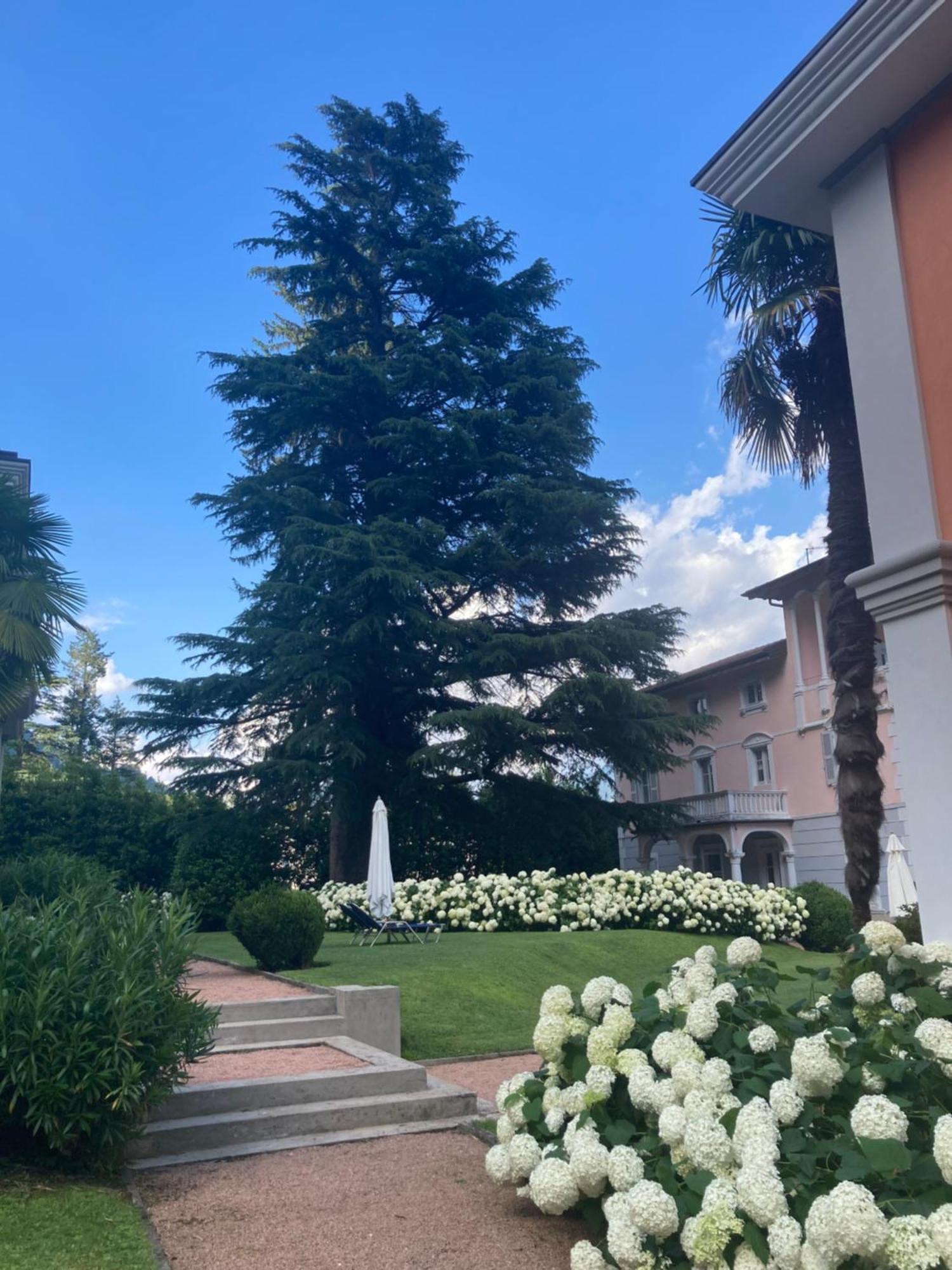 Ville Lago Lugano Porto Ceresio Eksteriør billede